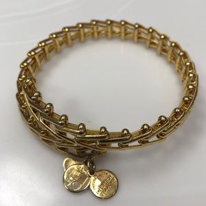 Alex and Ani Bright Gold Bracelet